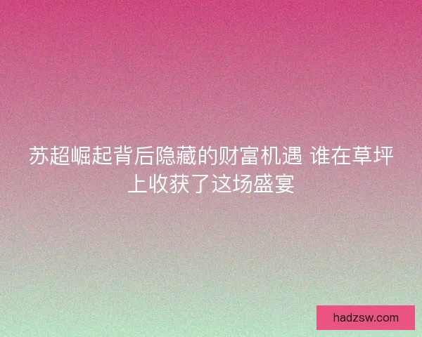 苏超崛起背后隐藏的财富机遇 谁在草坪上收获了这场盛宴