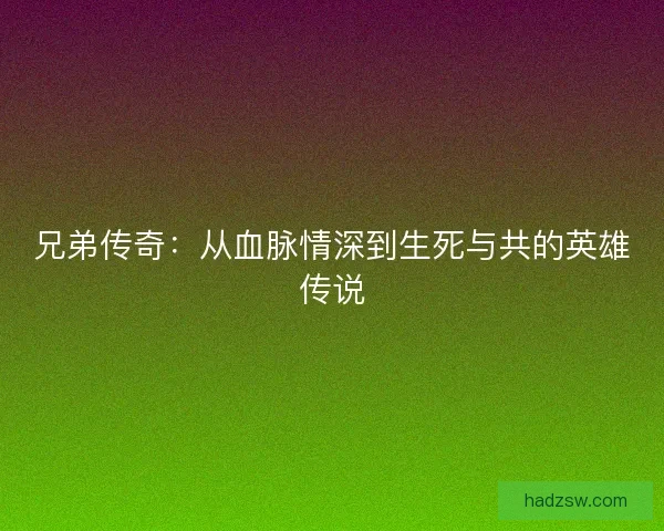 兄弟传奇：从血脉情深到生死与共的英雄传说